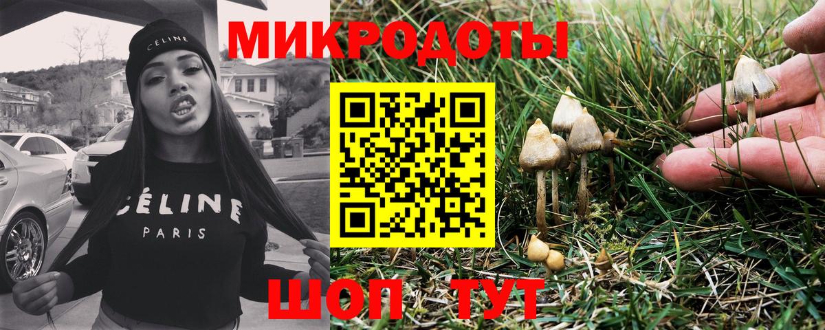 ГАШ Березники