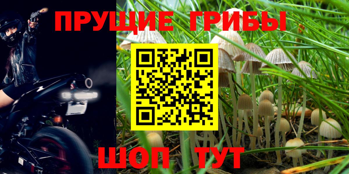 Березники  Псилоцибиновые грибы мицелий  Вход с VPN 